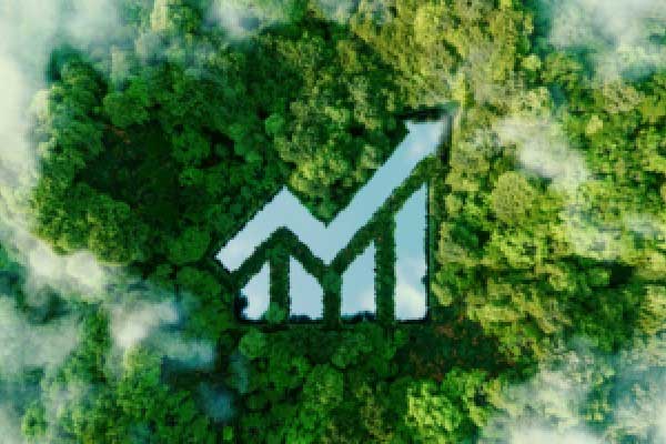 2026股票交易软件十大排名出炉！新手必看，选对软件少走3年弯路